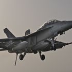 F18 Superhornet kurz vorm touch down