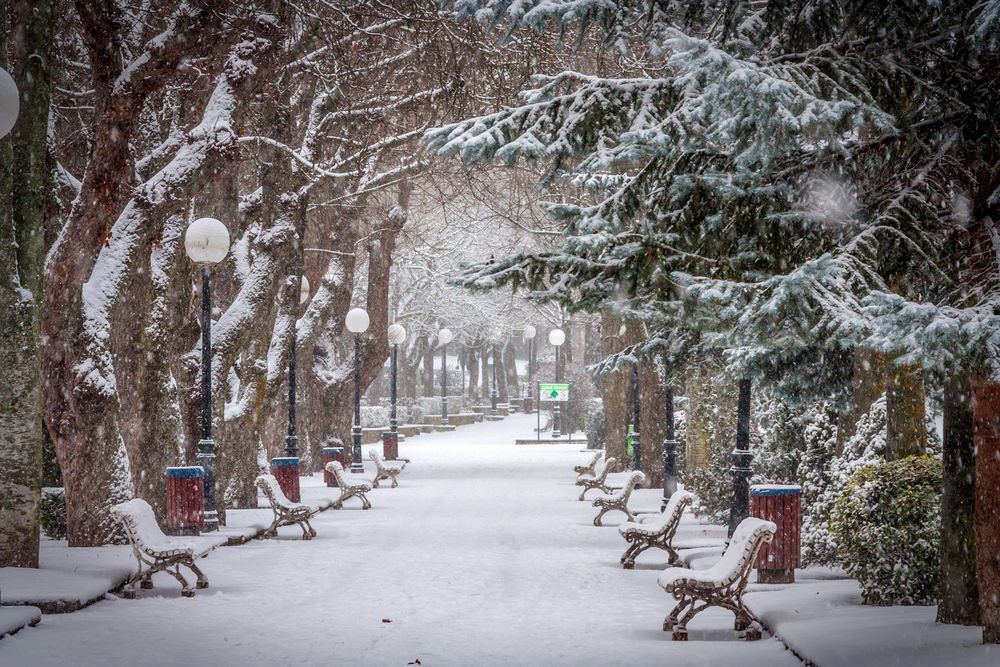 Nieve en el parque_3480 de jlmo