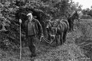 Con las mulas by Gelo Charro