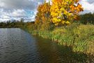 Goldene Herbst 2 von Valerij Rein