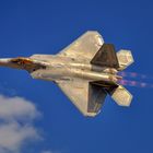 F22 RAPTOR