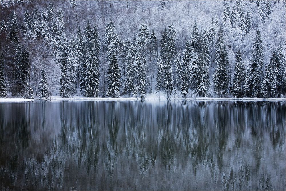 Frillensee# von Manfred