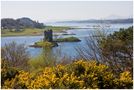 Castle Stalker by Alexanderfelix 