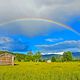 Regenbogen - starkes Symobl