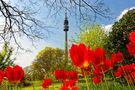 "Frühling lässt sein blaues Band... von Roland Klecker 