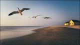 SommerSehnsucht.... von Veronika Pinke