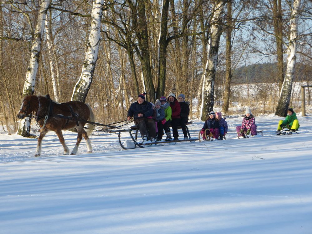 Pferdeschlittenfahrt Januar 2017 von Herr PIT