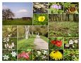 unterwegs- in den Frühling von Ingeborg Bröll 