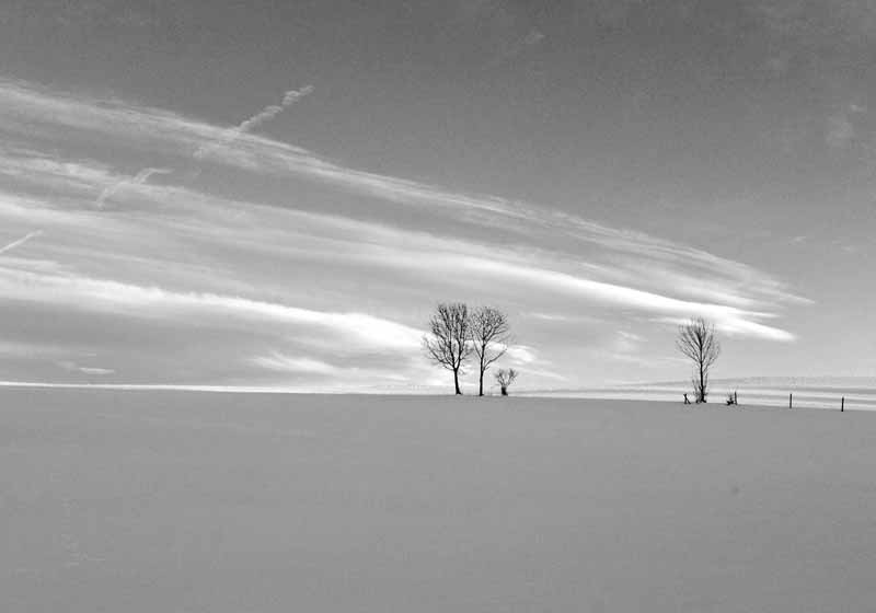 Landschaft Allgäu von Francefoto 