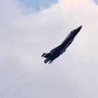 F35II, ein neuer Vogel am Himmel, teil 2