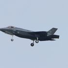 F35II, ein neuer Vogel am Himmel Teil1