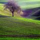 Herbstlandschaft