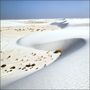 White Desert  von Marc Maiworm