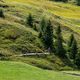 Wanderweg zur Murmeltieralm, Seiseralm, Sdtirol