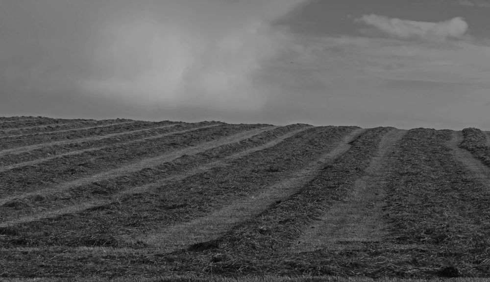 Unter Baseler Himmel von Südgrat