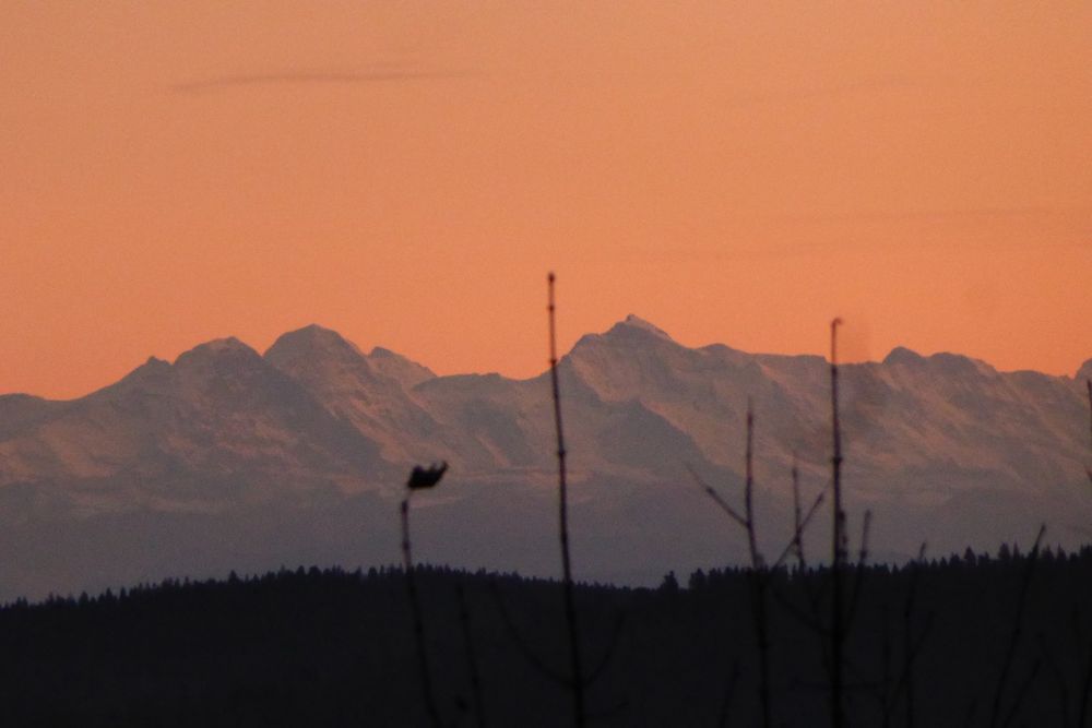 Sonnenuntergang Alpen von Lucia Segler