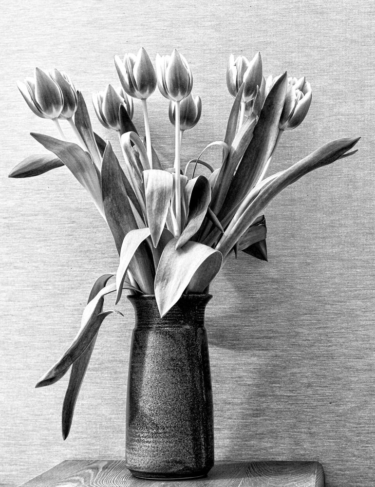 Vase mit Tulpen von Jack Kolowski 