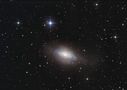 Die Galaxie NGC3521 im Sternbild Löwe von Peter Knappert