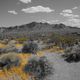 valley of fire