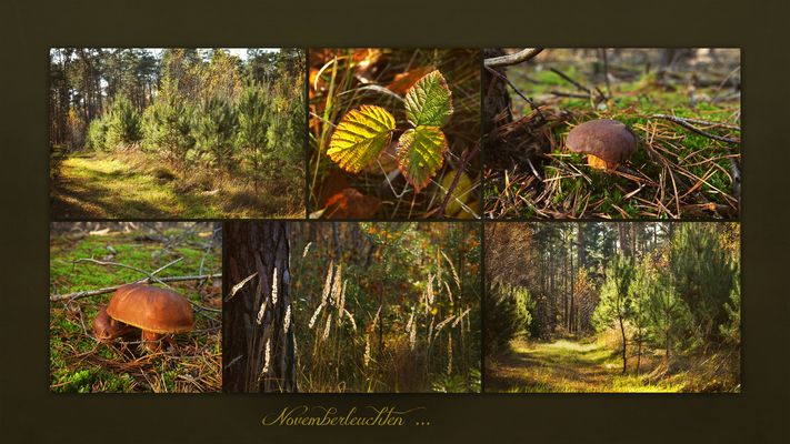 * * * * * * * * * * * * * * * * * * * * * * * *