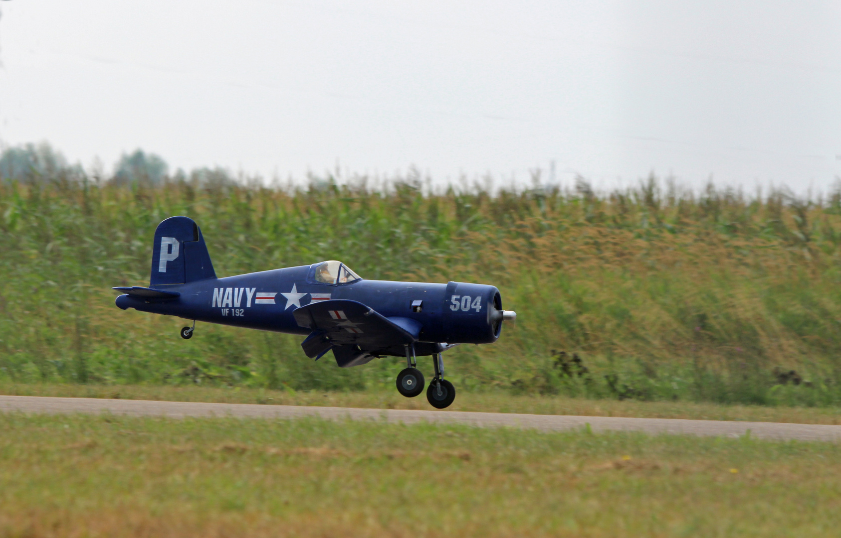 F4U