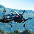 F4U Corsair im Landeanflug