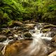 Noojee, Toorongo Falls Reserve