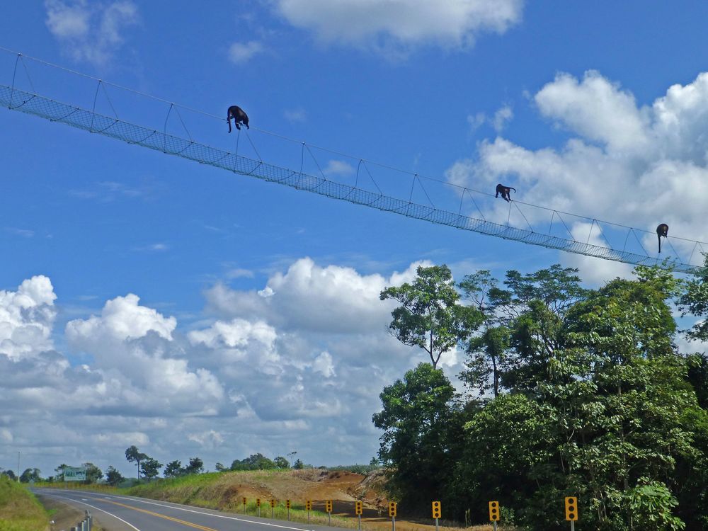 Verkehrslenkung in Costa Rica von Harry Heilmann