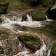 Bachlauf im Black Forest