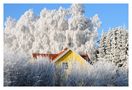 Norwegisches Holzhaus von Kai Graubohm