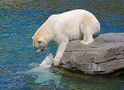 Nun komm schon ins Wasser von R. Krämer