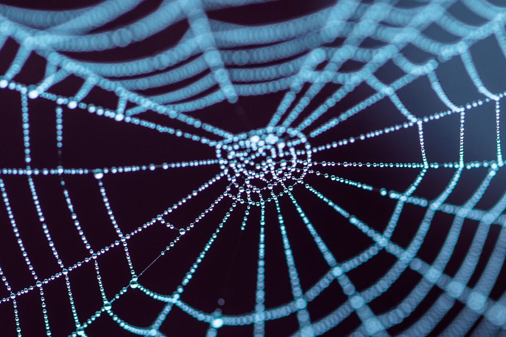 Blue spiderweb von Su-Ly K-Hollaender 