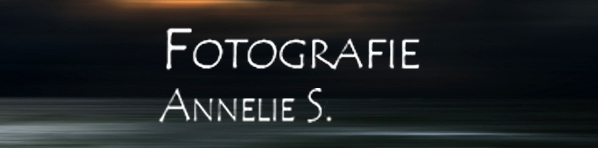 Fotografie Annelie S.