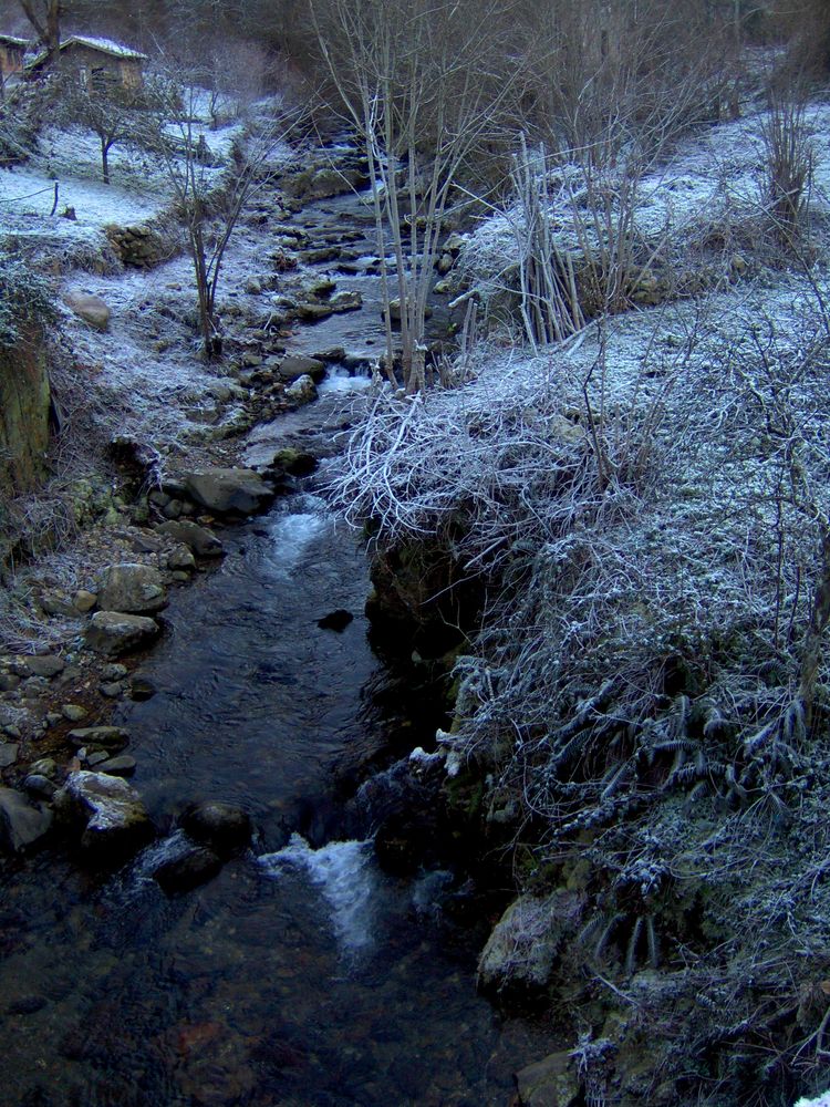 Friasturias de PACUVIO