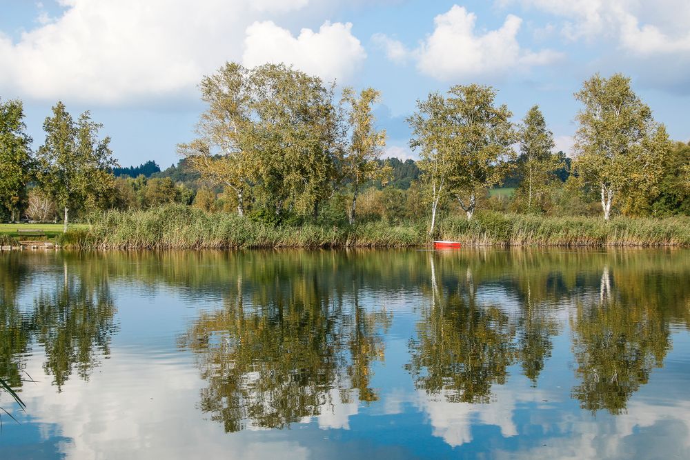 Illmensee von Astrid Lohr