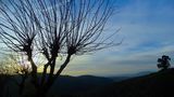 Una tarde de paseo. de Maria Antonia Rubio Maeso