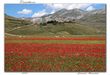 Fotoraduno Castelluccio (Pg)