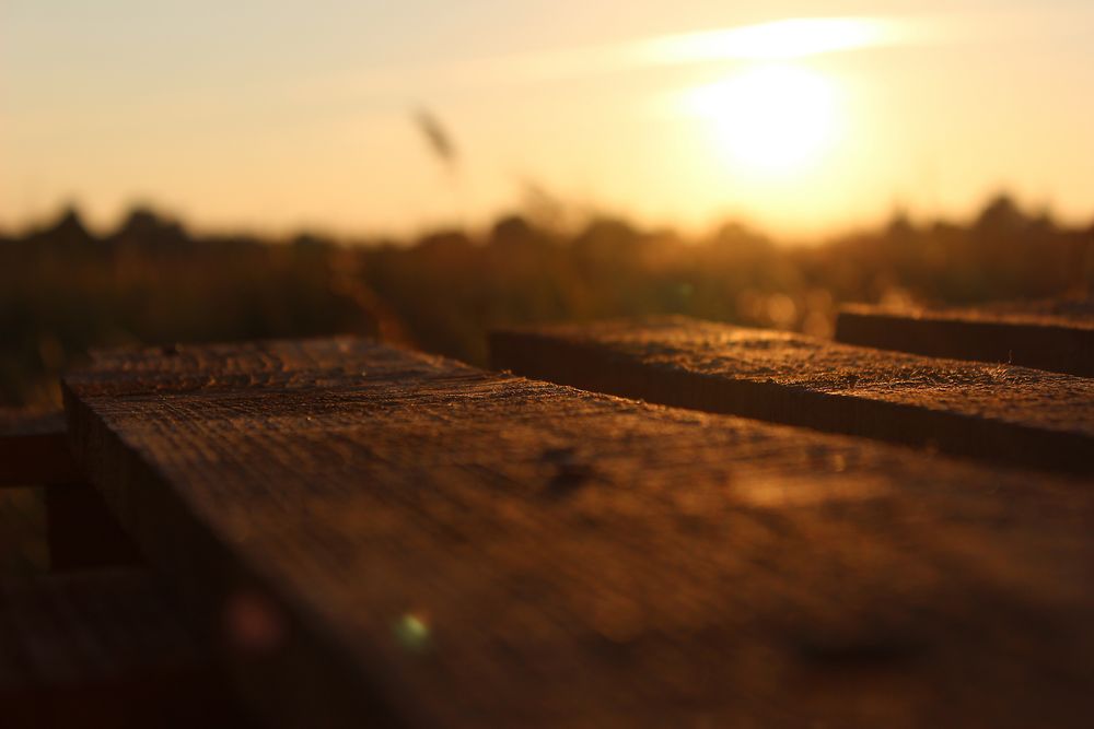 Die letzten Sonnenstrahlen küssen das Holz von SusiSorglos82 