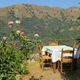 Eine Taverne auf Kreta: Eine Oase der Khle und Stille
