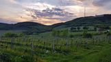 Abendspaziergang über den Wiener Nussberg von Günter North