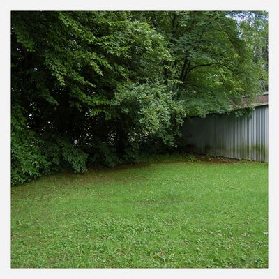 .............................