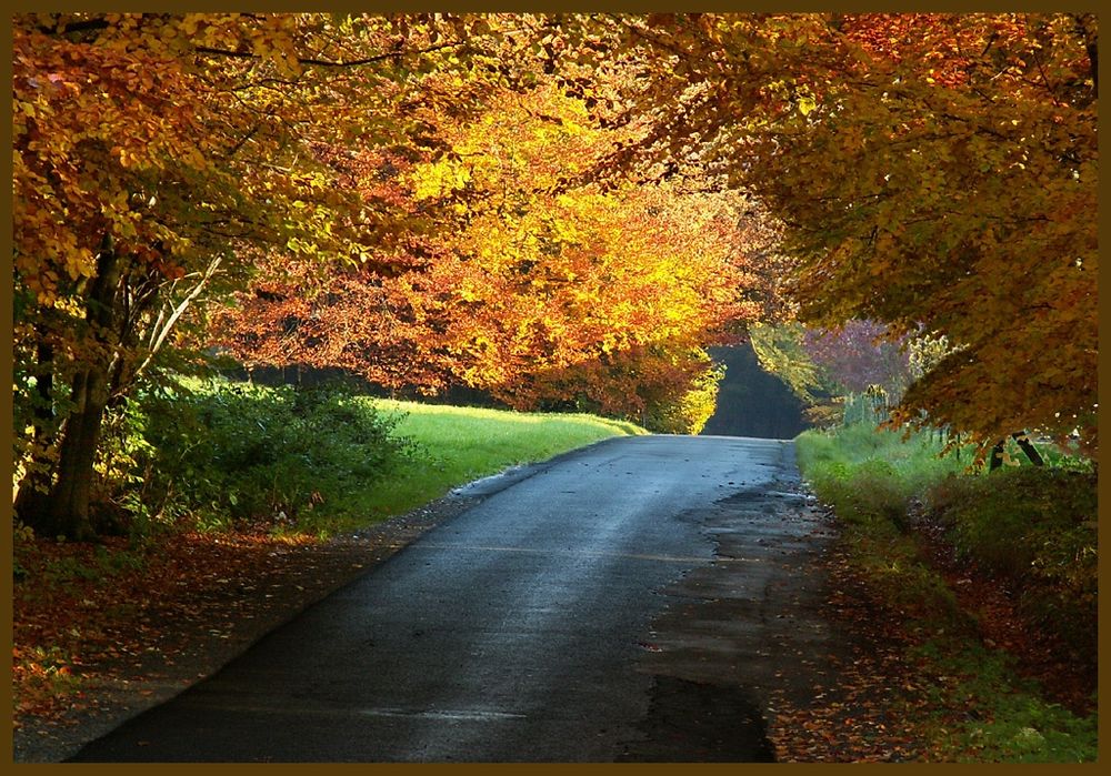 Herbst im Wesergebirge 2  von roland7a