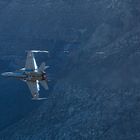 f/a-18 hornet