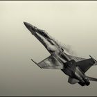 F/A-18 Hornet