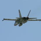 F/A 18 Hornet Bild 3