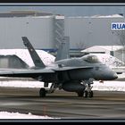 F/A 18 Hornet @ LSME - 15. Januar 2010
