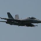 F/A-18F Superhornet - AIR04