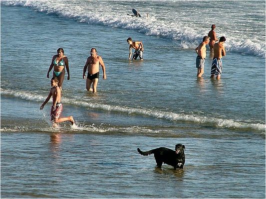 Fa caldo...bagno per tutti.
