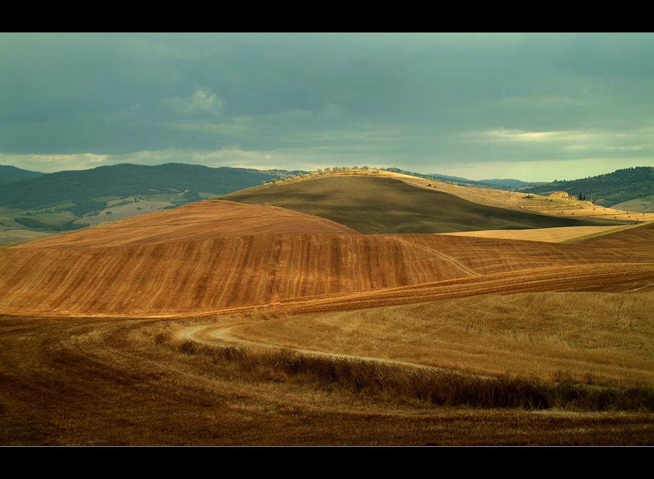 fa temporale