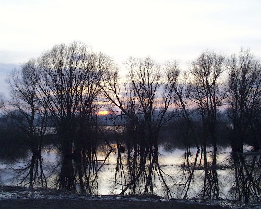 Spiegelungen im Sonnenuntergang von Johannes Bormann